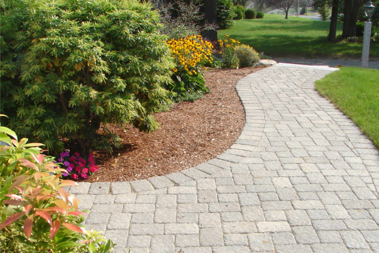 WALKWAYS-4.png WALKWAYS-4.png